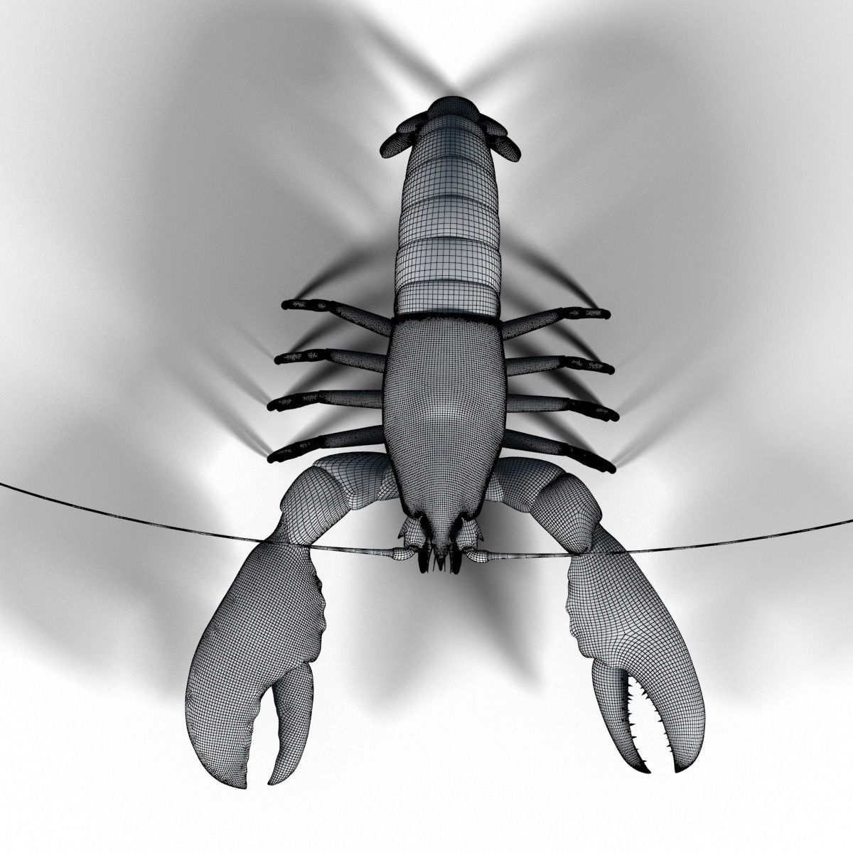 lobster crayfish 3D model_11
