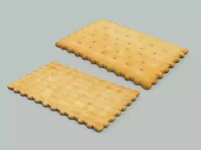 Biscuit cracker 3D model