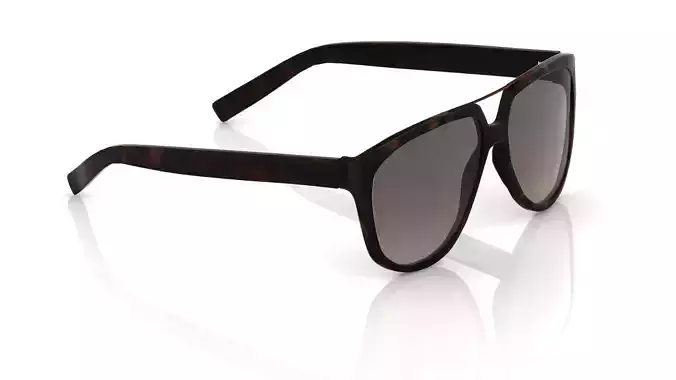 Eyeglasses for Men and Women 3D print model