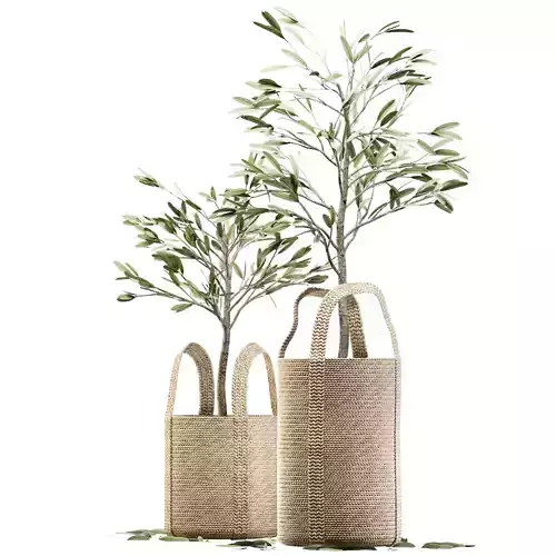 Wicker basket containing the delicate olive tree in pastel tones 3D model