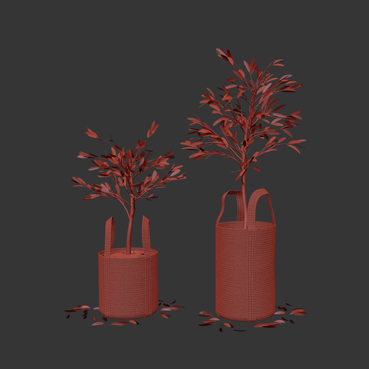 Wicker basket containing the delicate olive tree in pastel tones 3D model_2