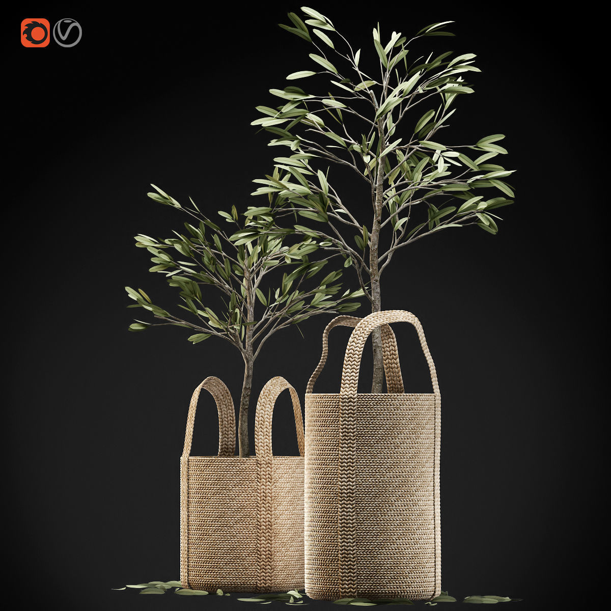 Wicker basket containing the delicate olive tree in pastel tones 3D model_1