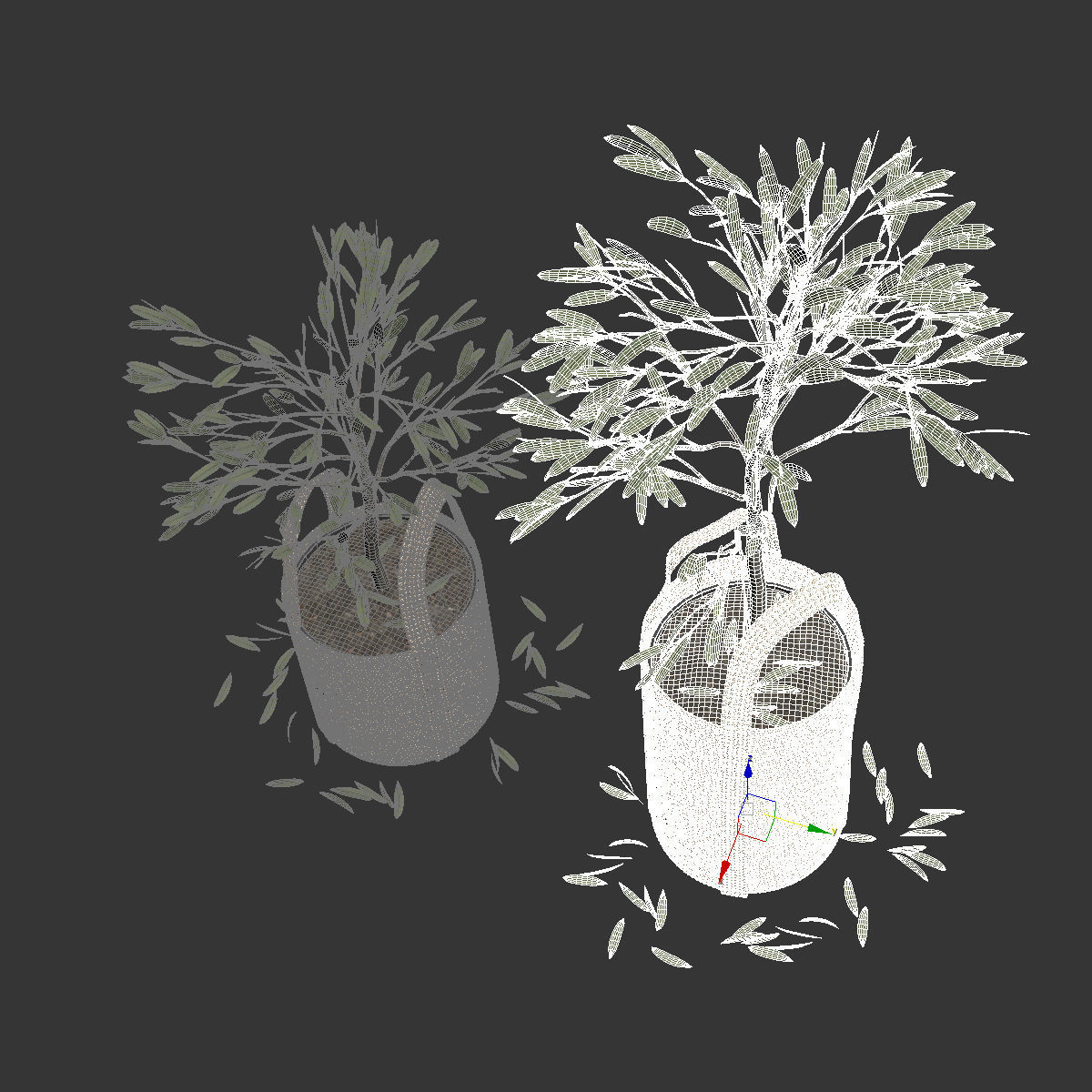 Wicker basket containing the delicate olive tree in pastel tones 3D model_6