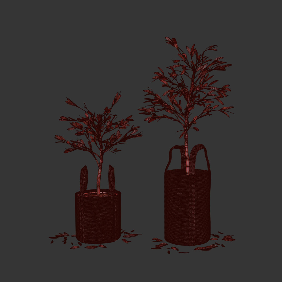 Wicker basket containing the delicate olive tree in pastel tones 3D model_4