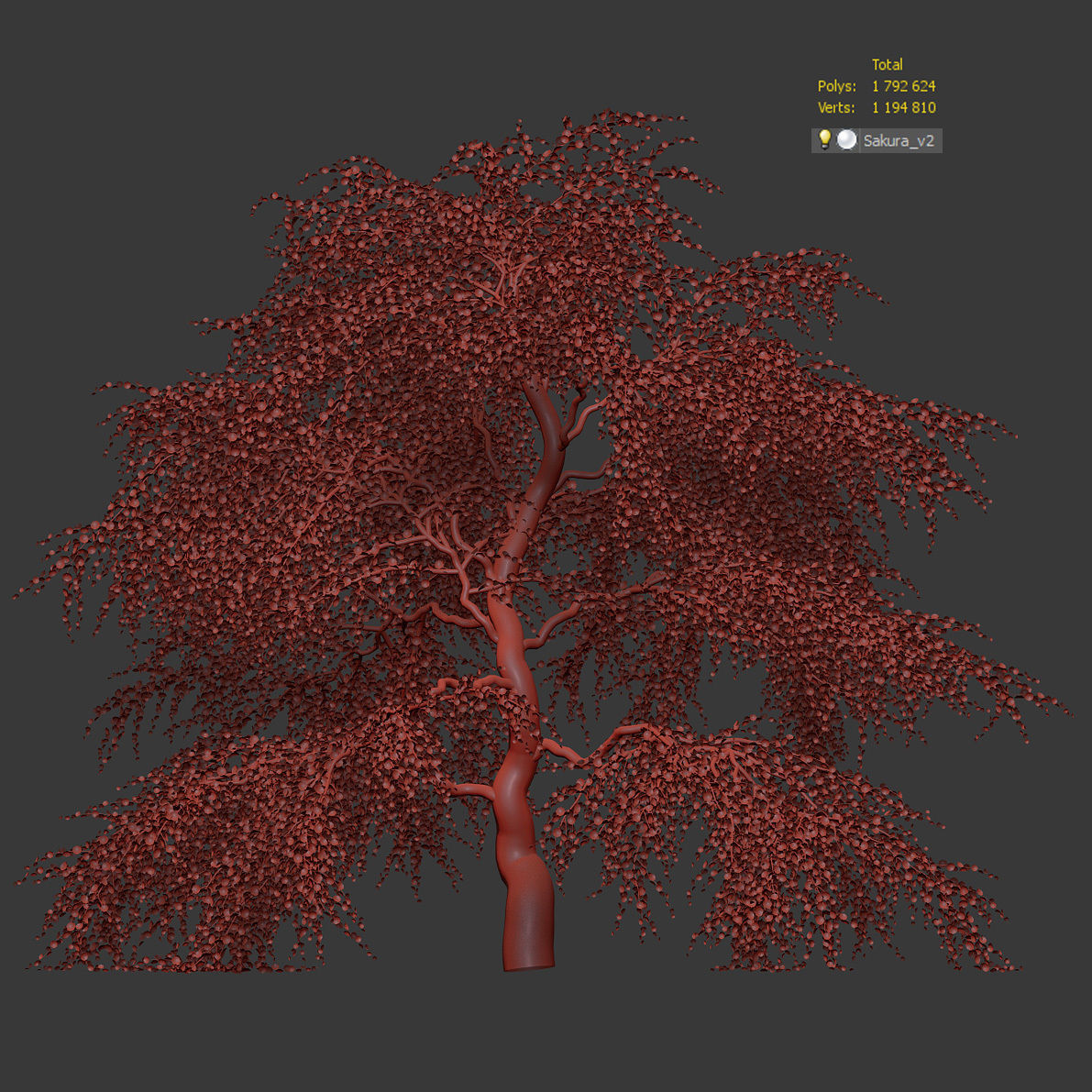 Sakura Tree v2 3D model_7