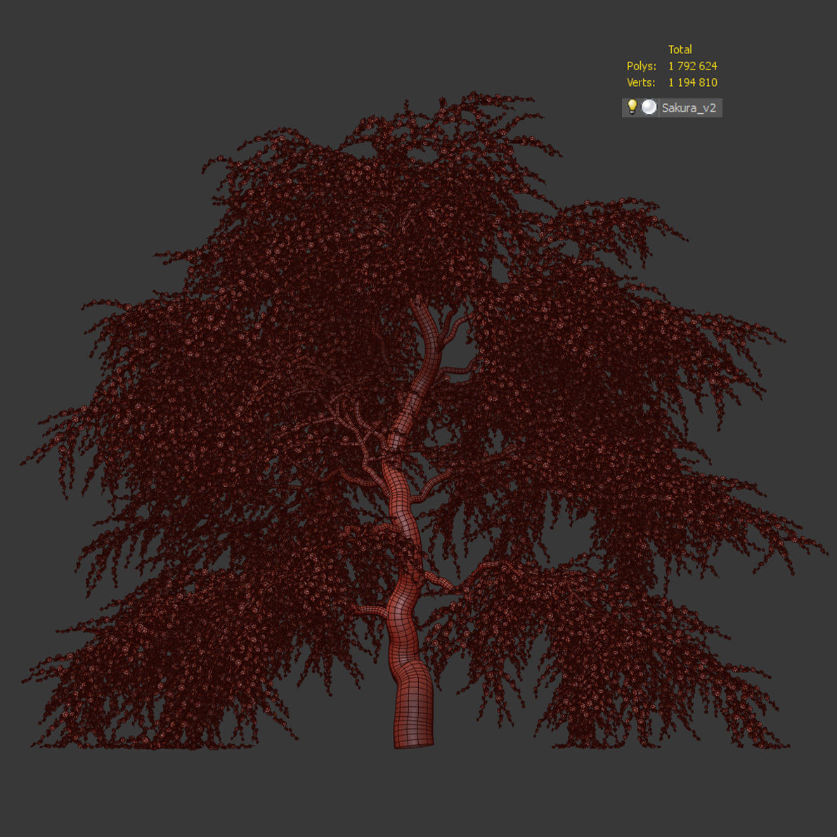 Sakura Tree v2 3D model_8