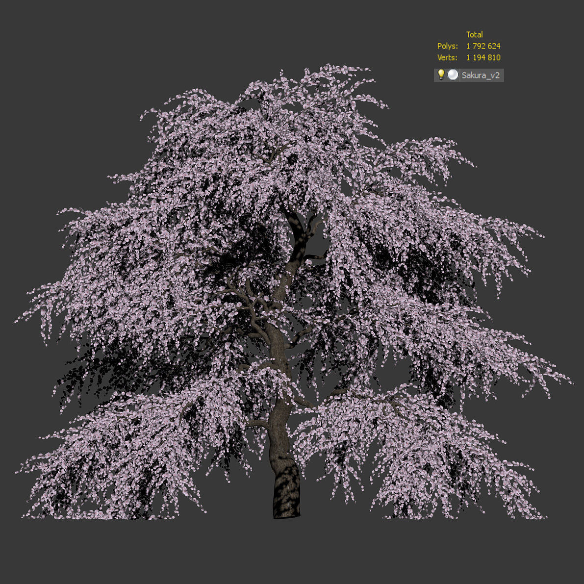 Sakura Tree v2 3D model_6