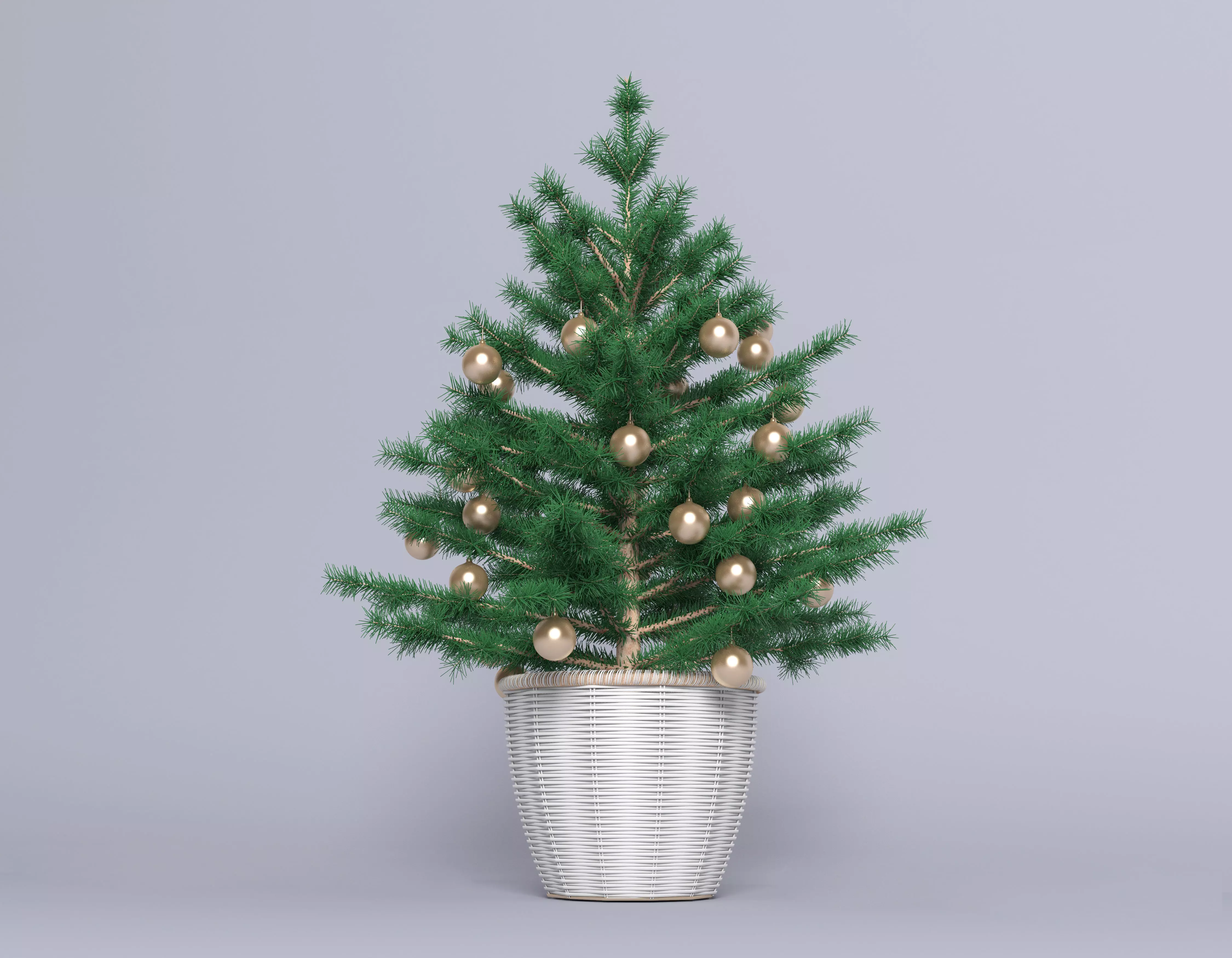 Fir Christmas small tree in basket 3D model