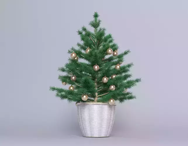 Fir Christmas small tree in basket 