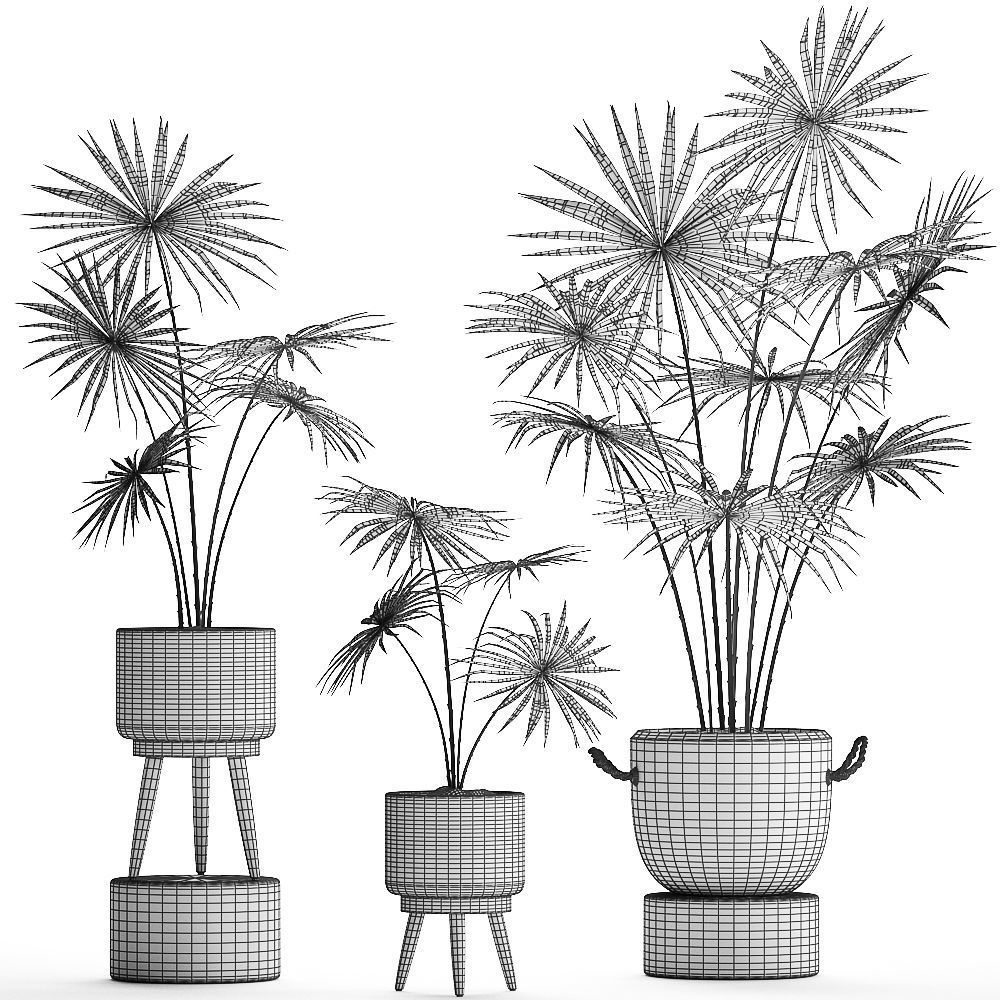 Collection of palm trees for the interior 429 3D model_7