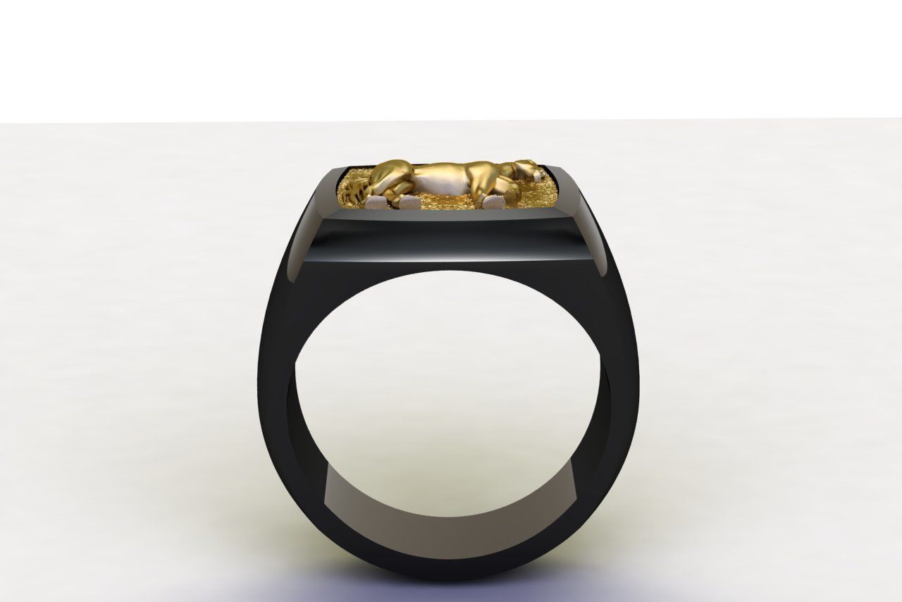 Horse Signet Solid Rings in EU Sizes 3D print model_3