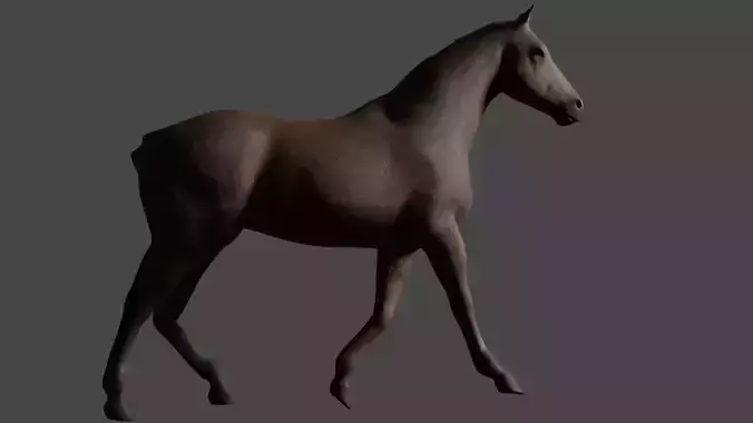 horse