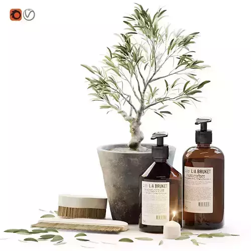 Tiny bonsai olive tree in stone pot with decor set for bathroom