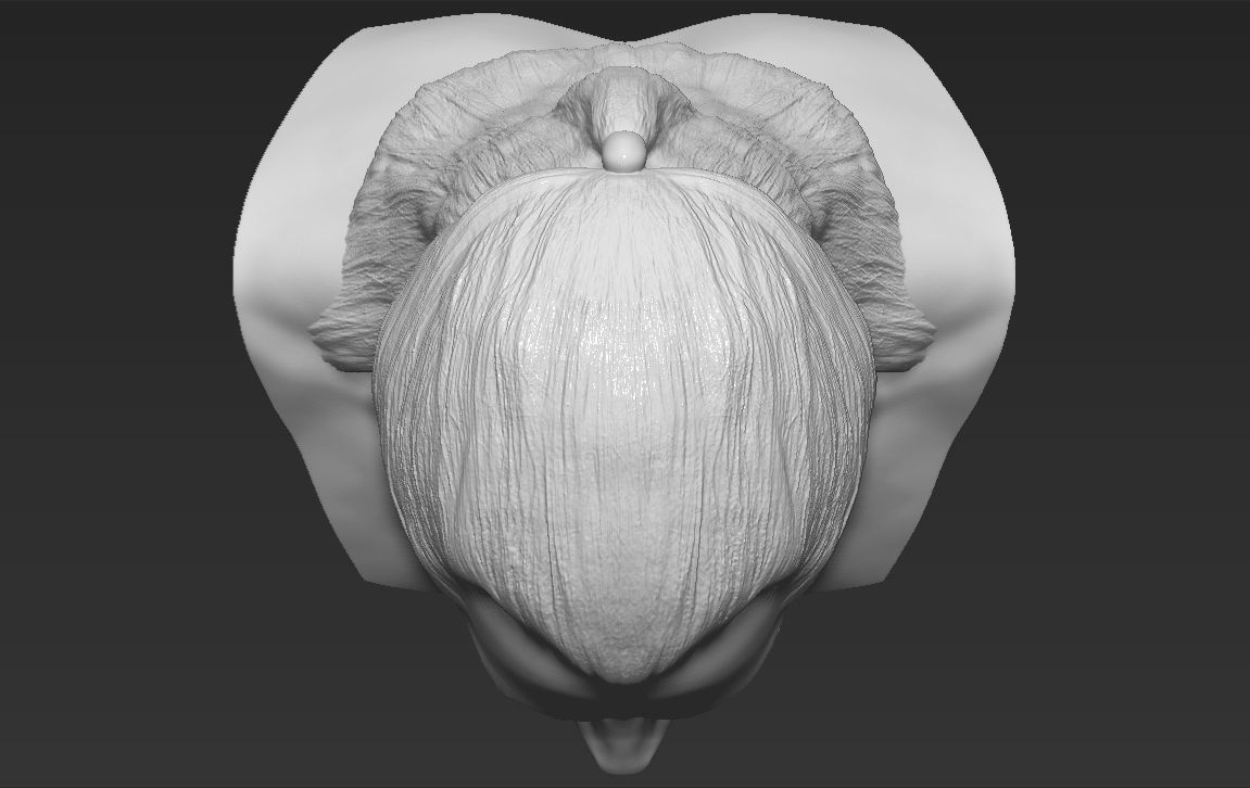 Geralt of Rivia The Witcher Cavill bust full color 3D printing Free 3D print model_38