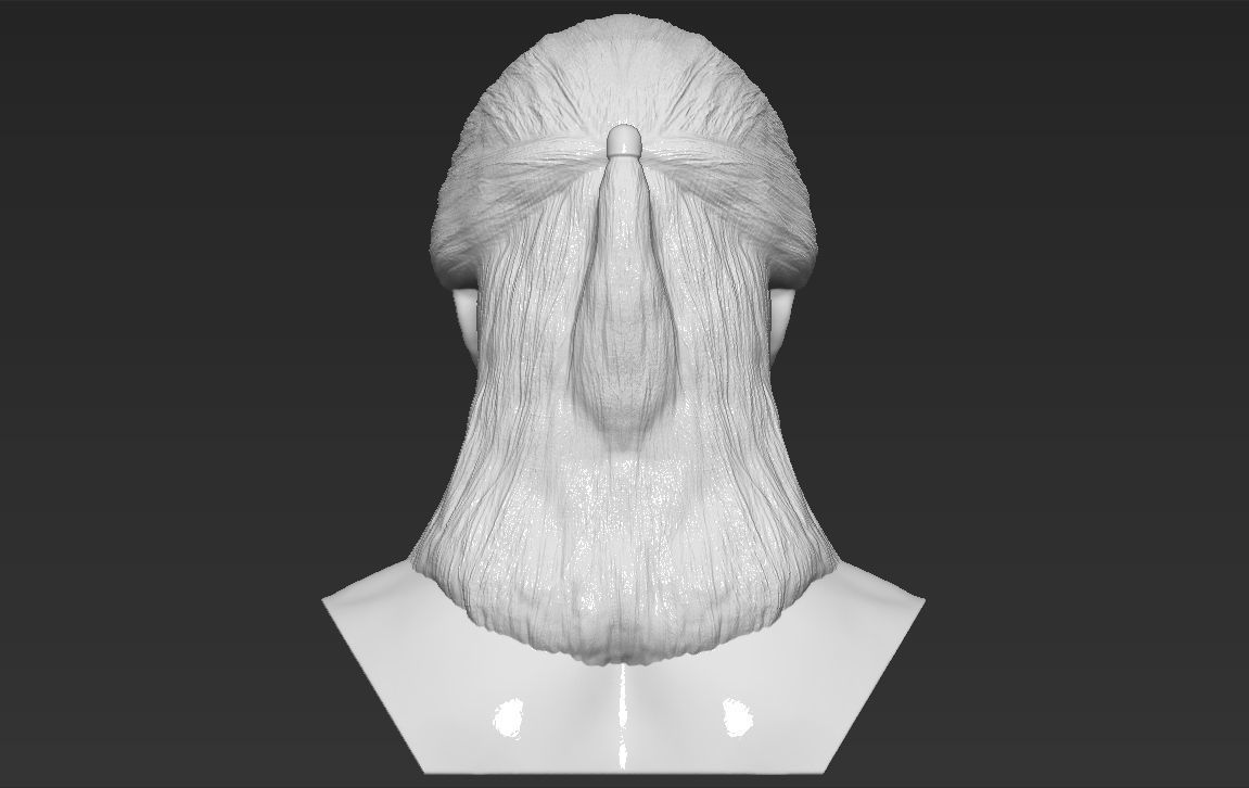 Geralt of Rivia The Witcher Cavill bust full color 3D printing Free 3D print model_29