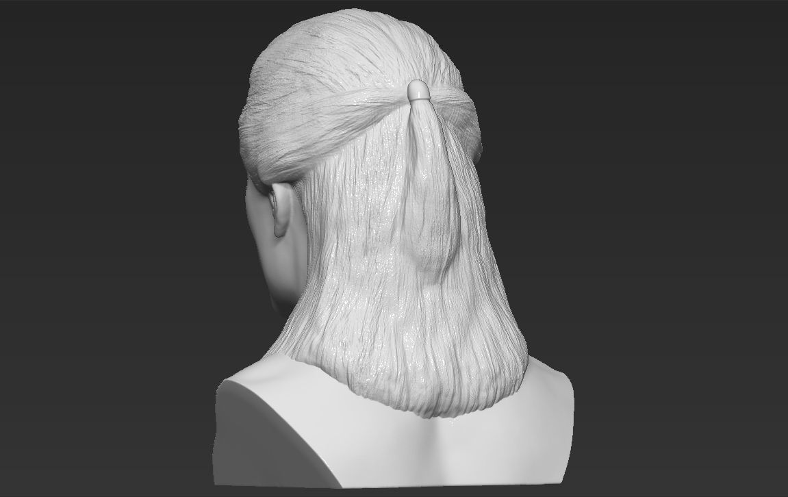 Geralt of Rivia The Witcher Cavill bust full color 3D printing Free 3D print model_28