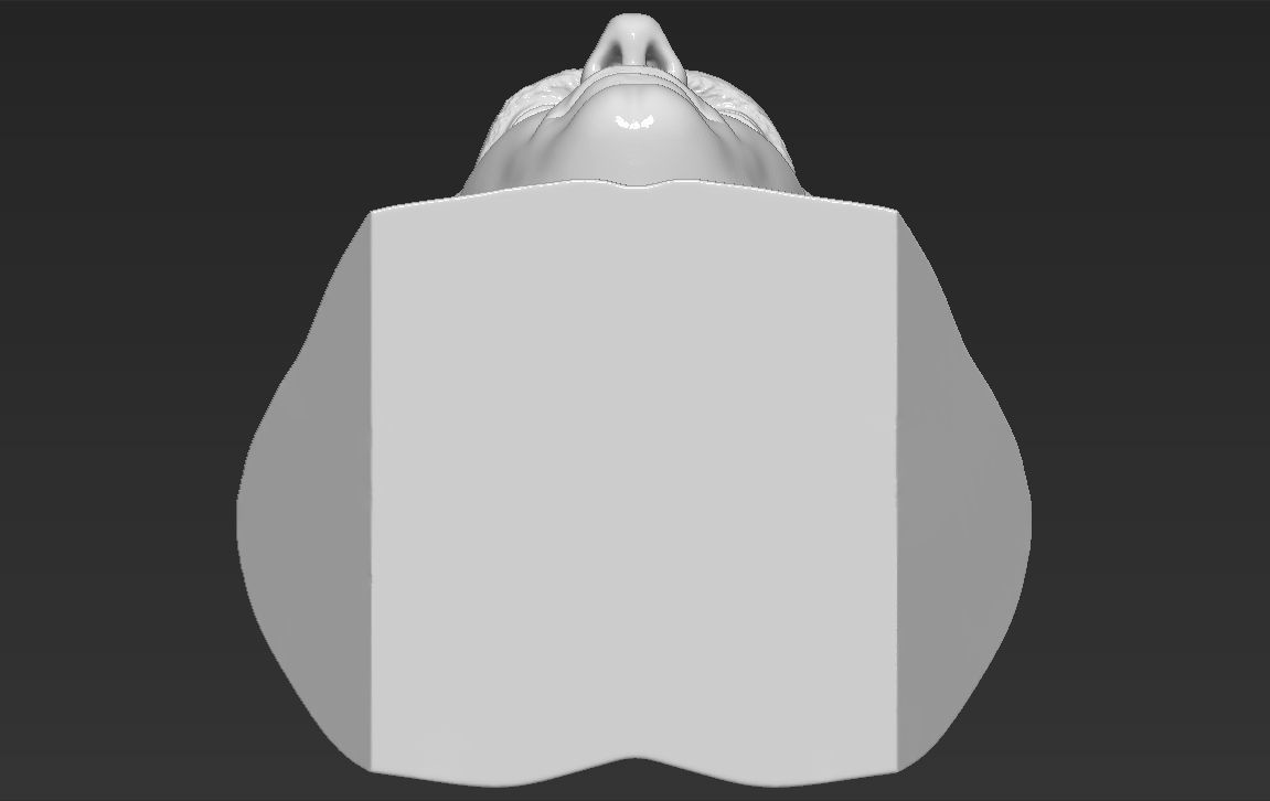 Geralt of Rivia The Witcher Cavill bust full color 3D printing Free 3D print model_49