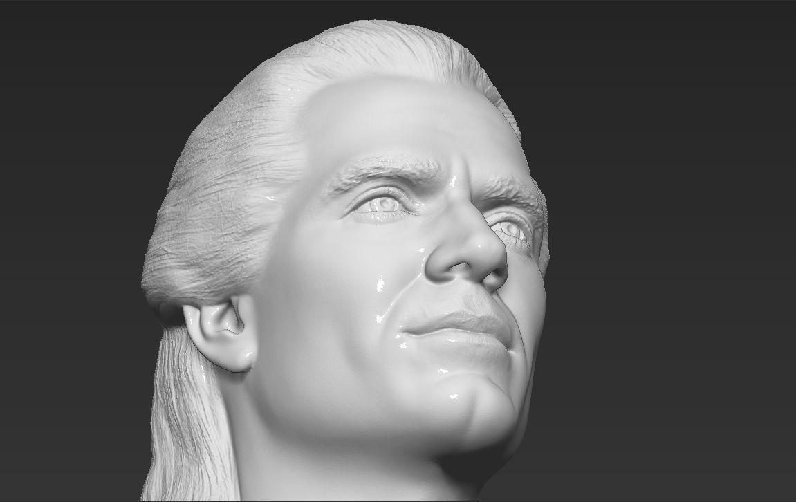 Geralt of Rivia The Witcher Cavill bust full color 3D printing Free 3D print model_44