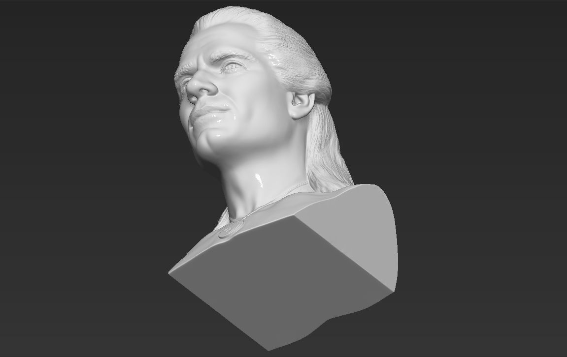 Geralt of Rivia The Witcher Cavill bust full color 3D printing Free 3D print model_47