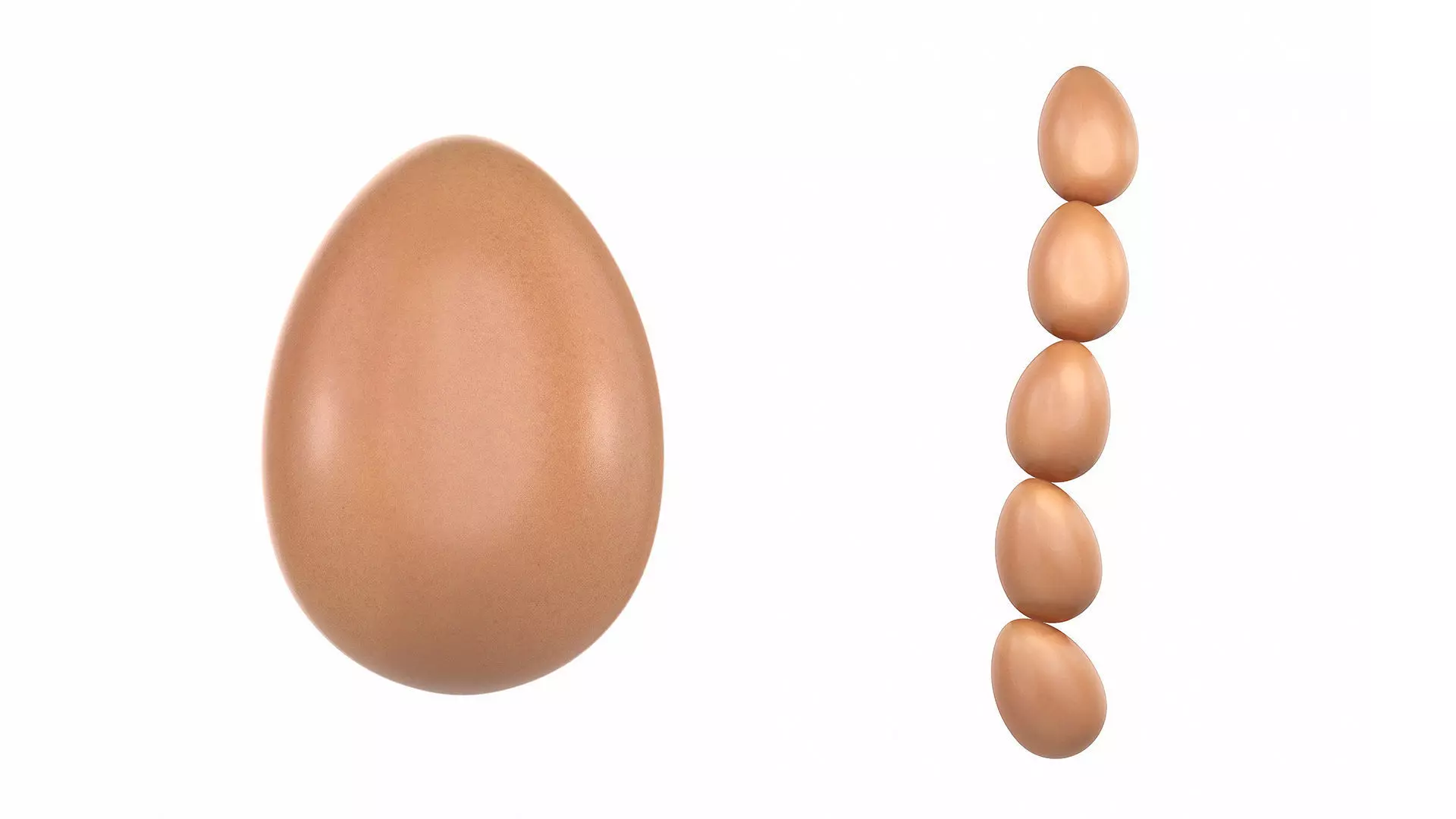 Perfect Egg 3D model
