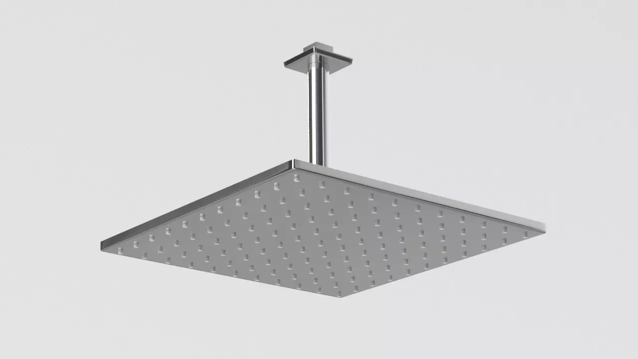 Shower head Type 2 Free 3D model
