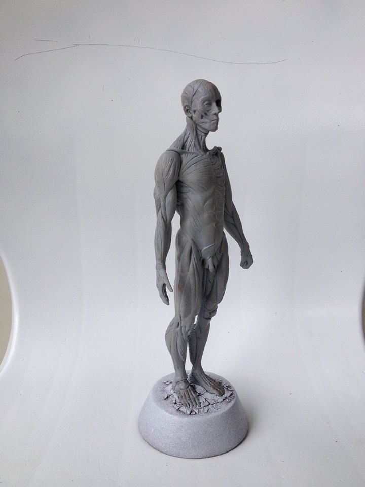 Anatomy Man 3D print model_7