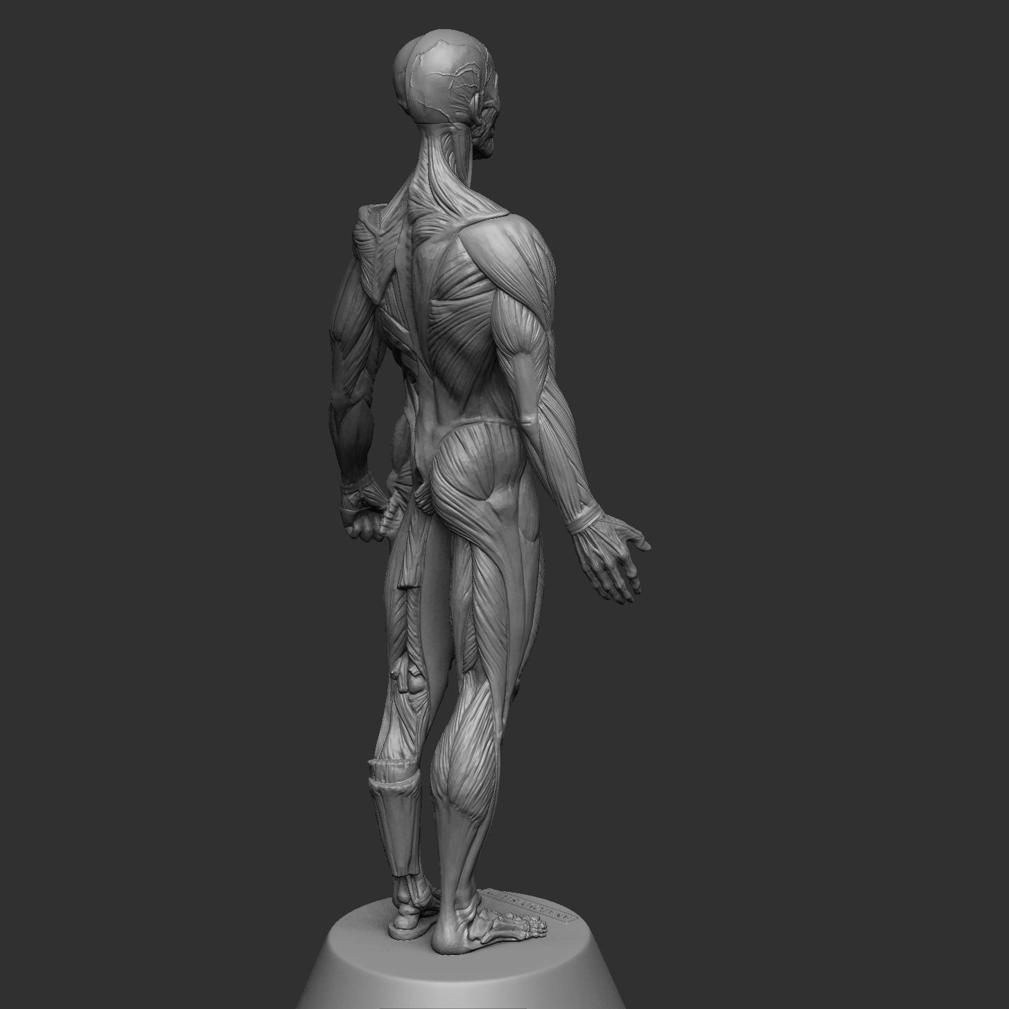 Anatomy Man 3D print model_6