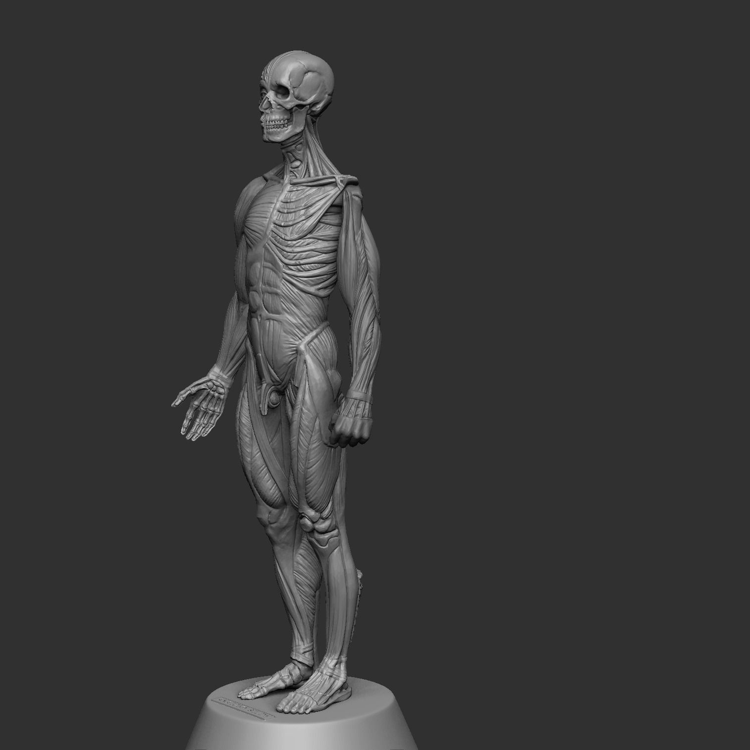 Anatomy Man 3D print model_1