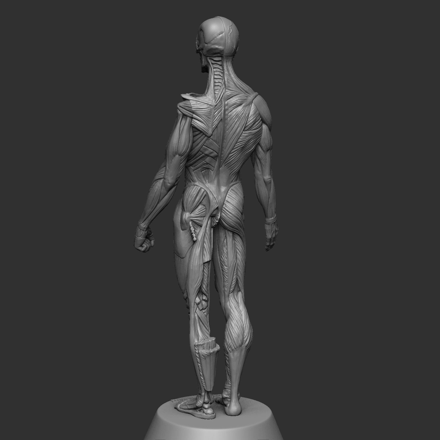 Anatomy Man 3D print model_3