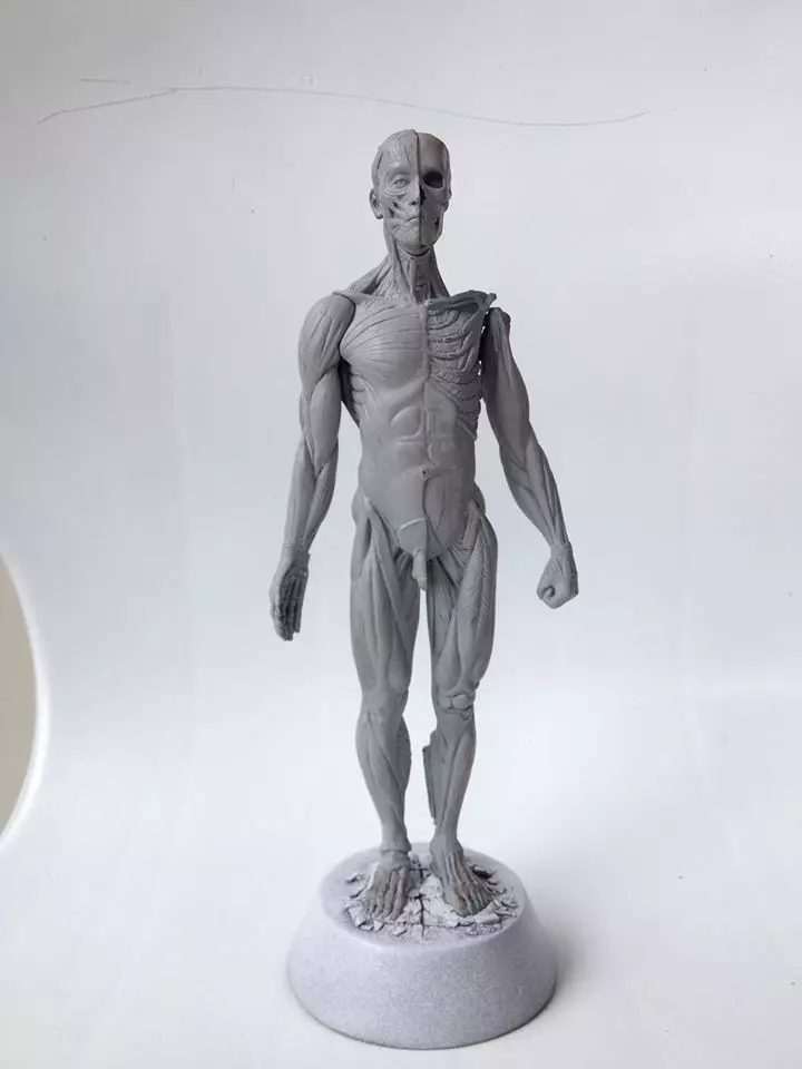 Anatomy Man 3D print model_0