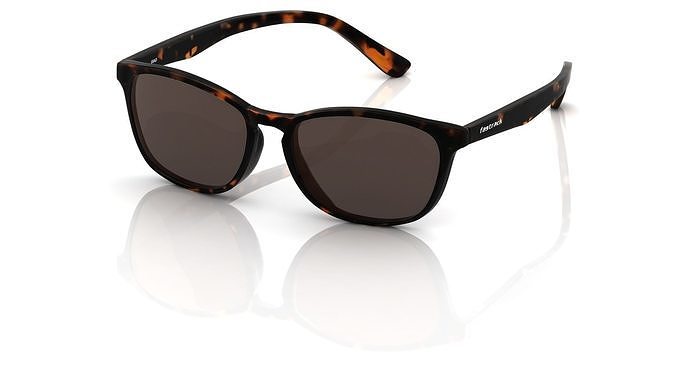 Eyeglasses for Men and Women 3D print model