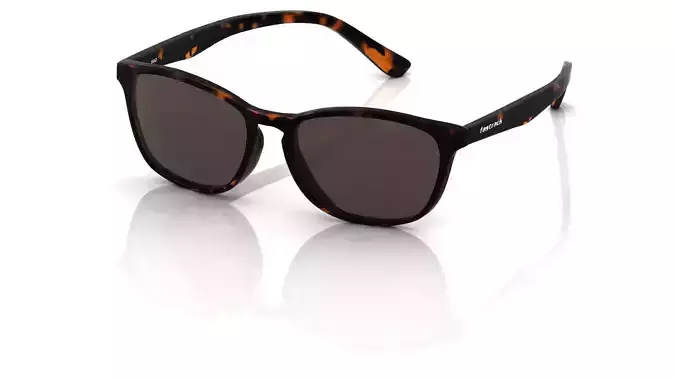 Eyeglasses for Men and Women 3D print model