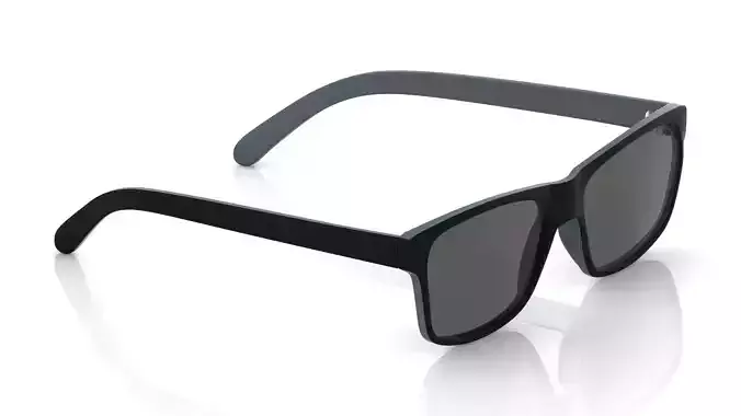 Eyeglasses for Men and Women 3D print model