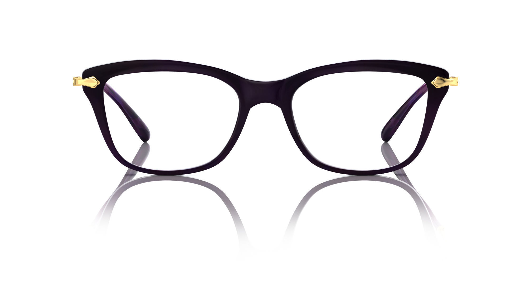 Eyeglasses for Men and Women 3D print model_1