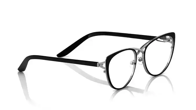 Eyeglasses for Men and Women 3D print model