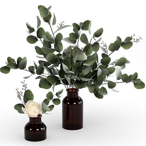 Bouquets of eucalyptus 3D model