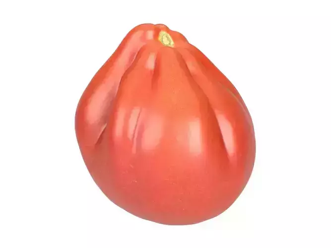 Photorealistic Oxheart Tomato 3D Scan