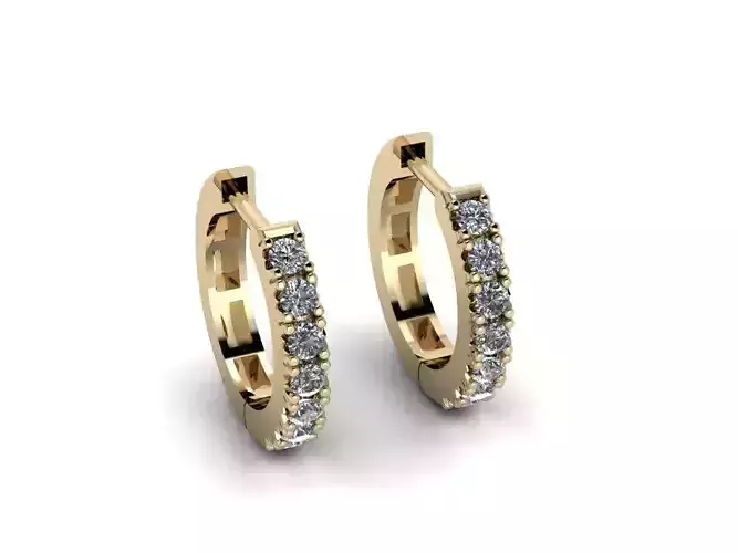 Jewelry Earrings 3D print model