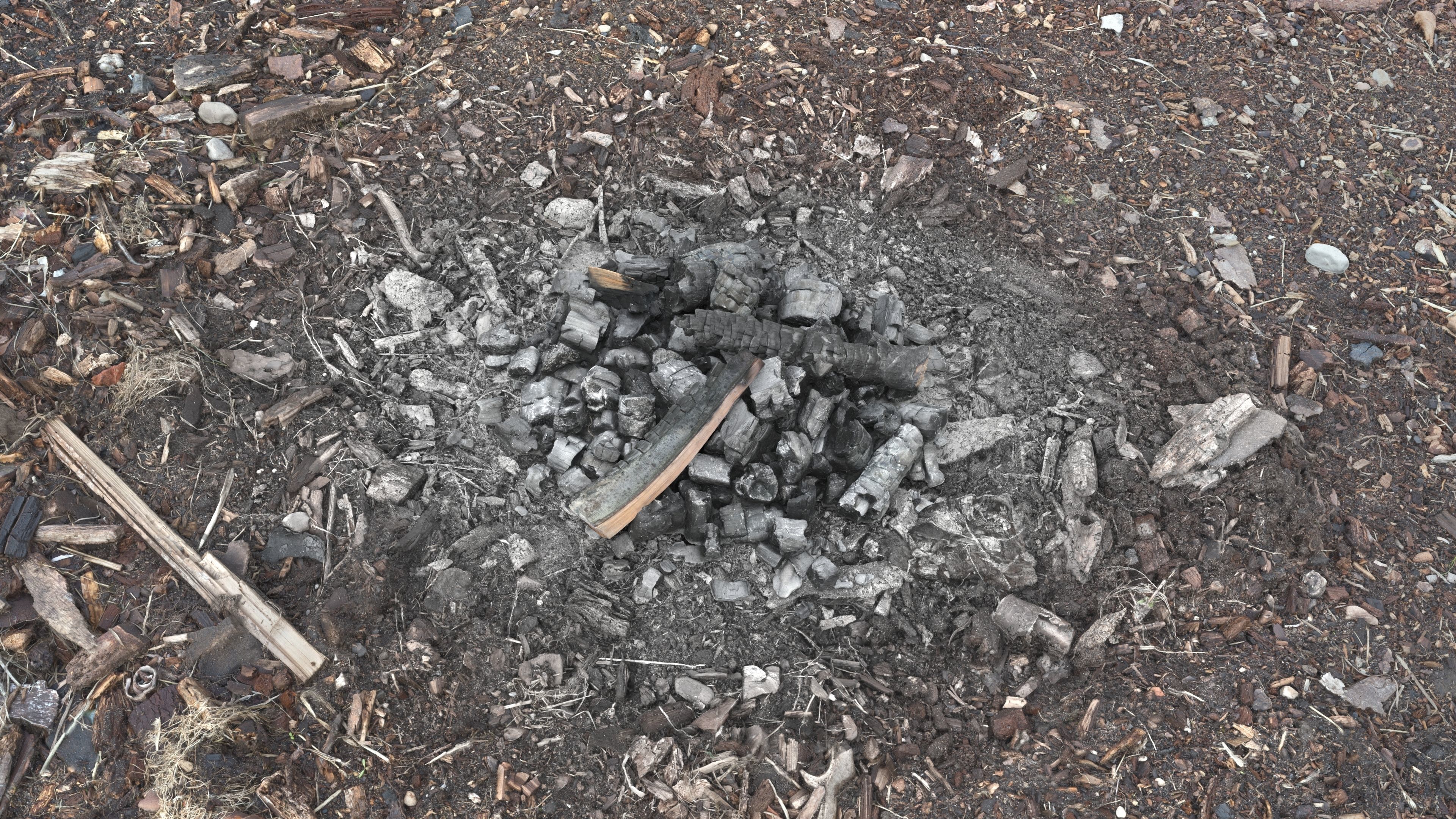Burned Logs and Ashes Low-poly 3D model_1
