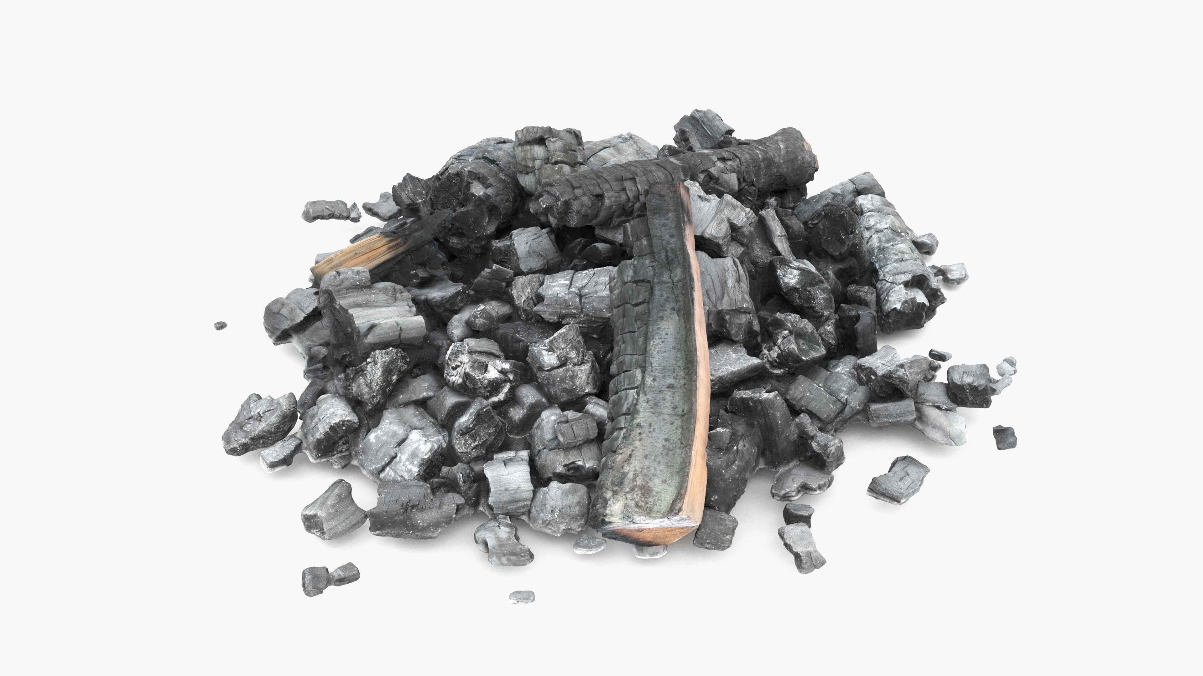 Burned Logs and Ashes Low-poly 3D model_13