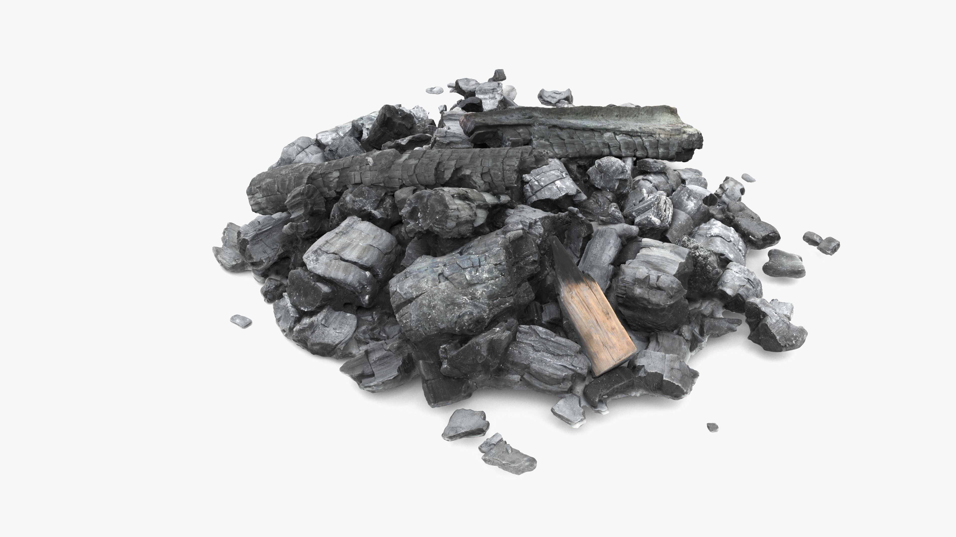 Burned Logs and Ashes Low-poly 3D model_15