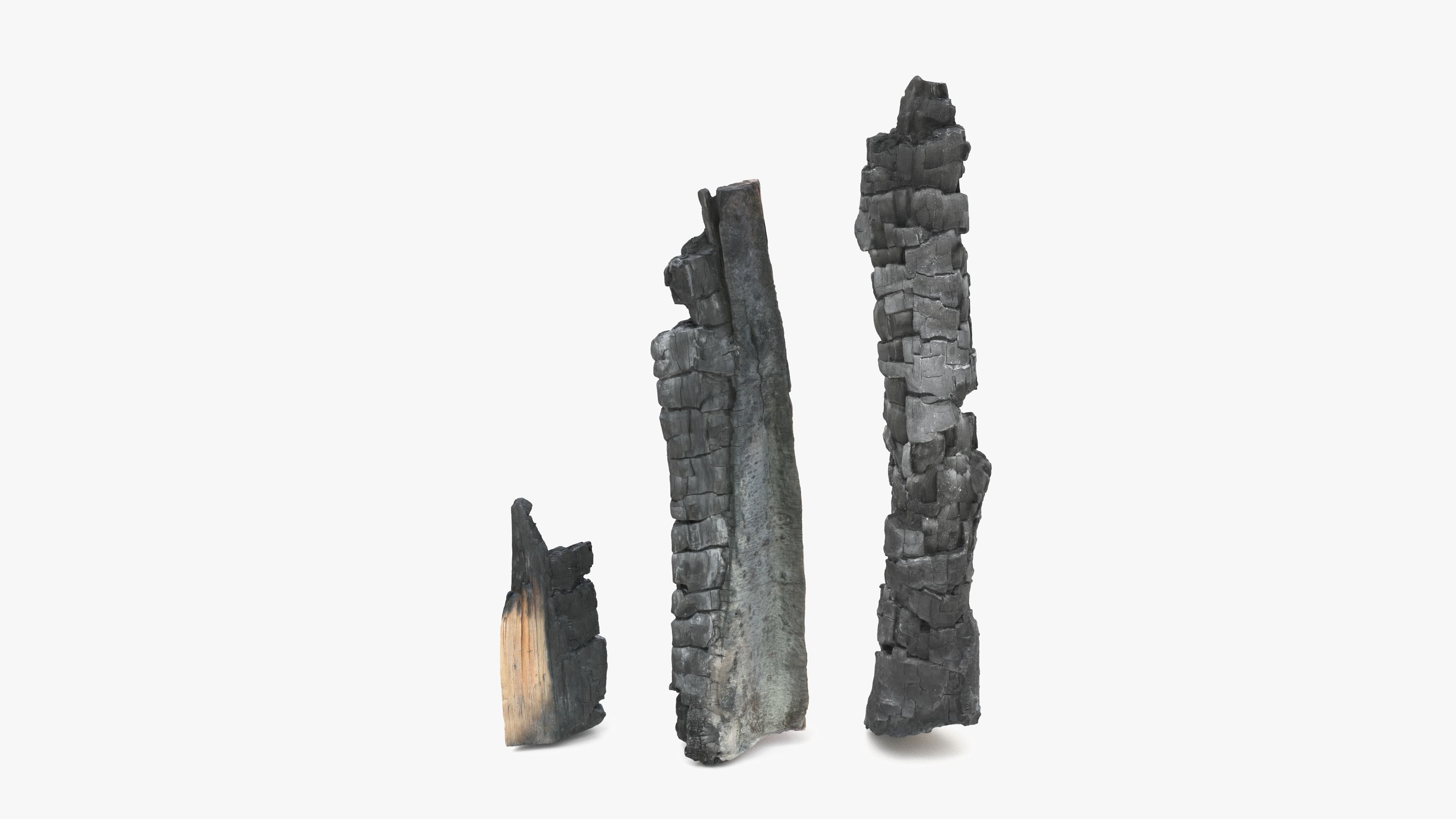 Burned Logs and Ashes Low-poly 3D model_20