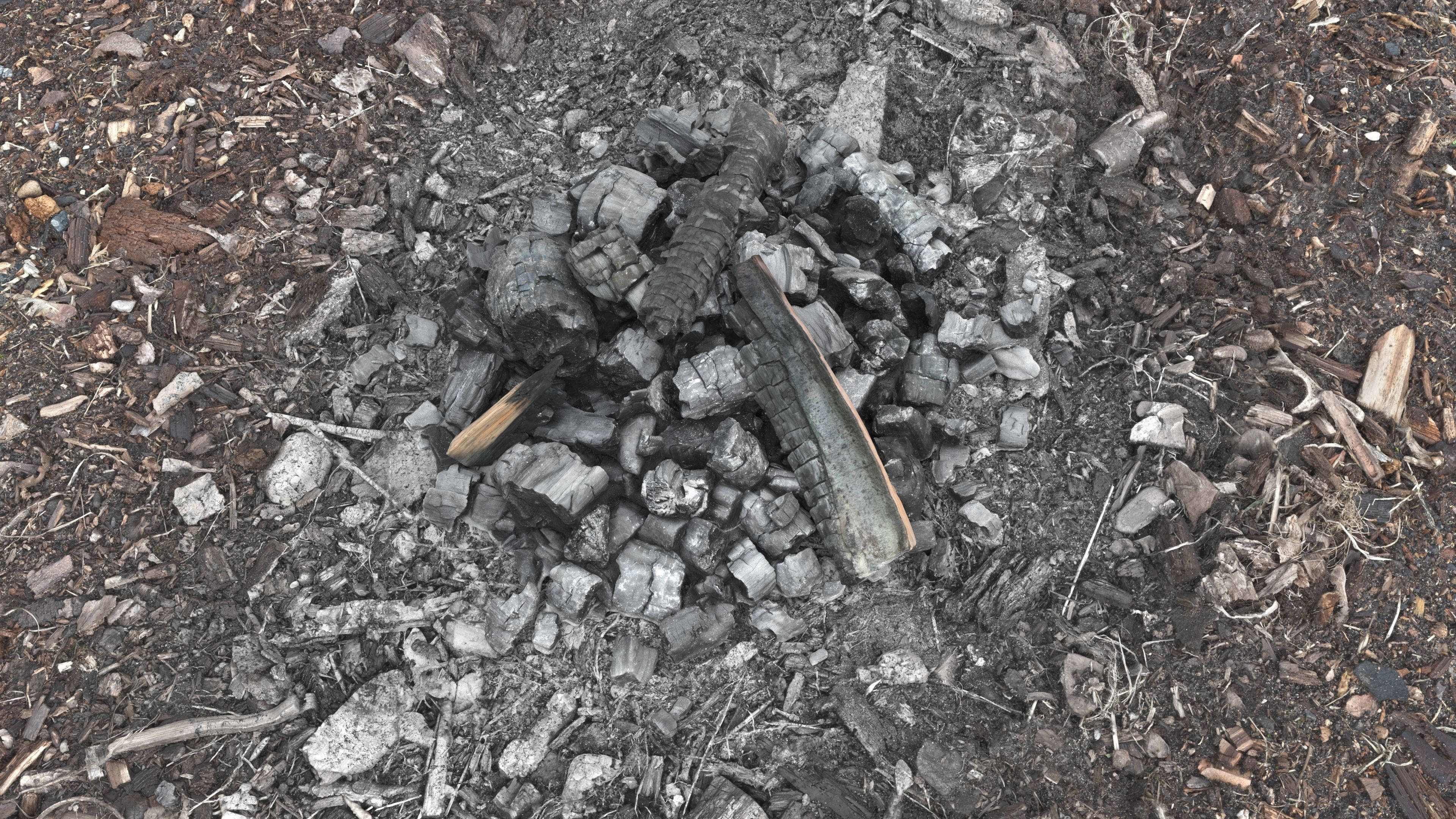 Burned Logs and Ashes Low-poly 3D model_10
