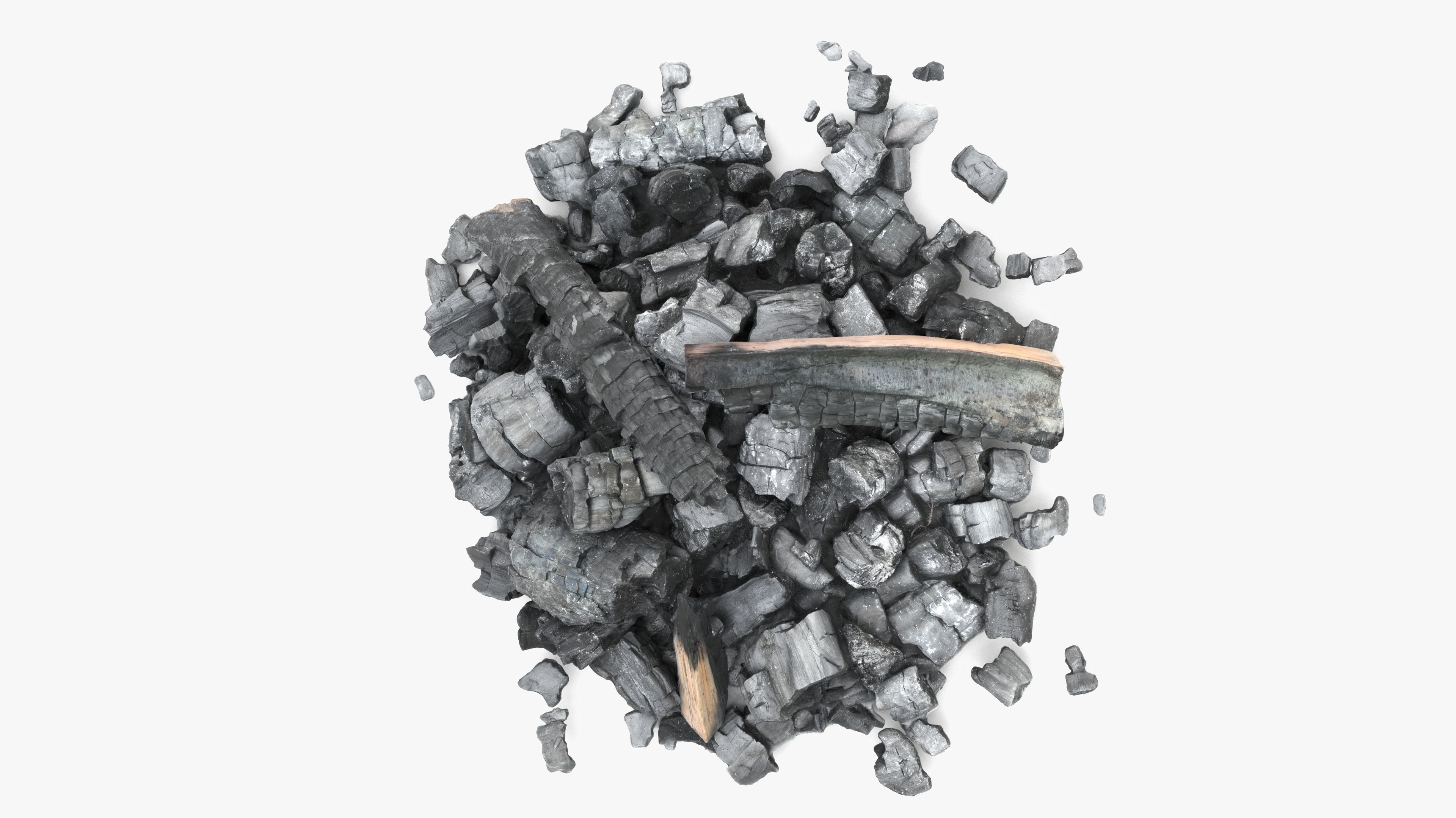 Burned Logs and Ashes Low-poly 3D model_3
