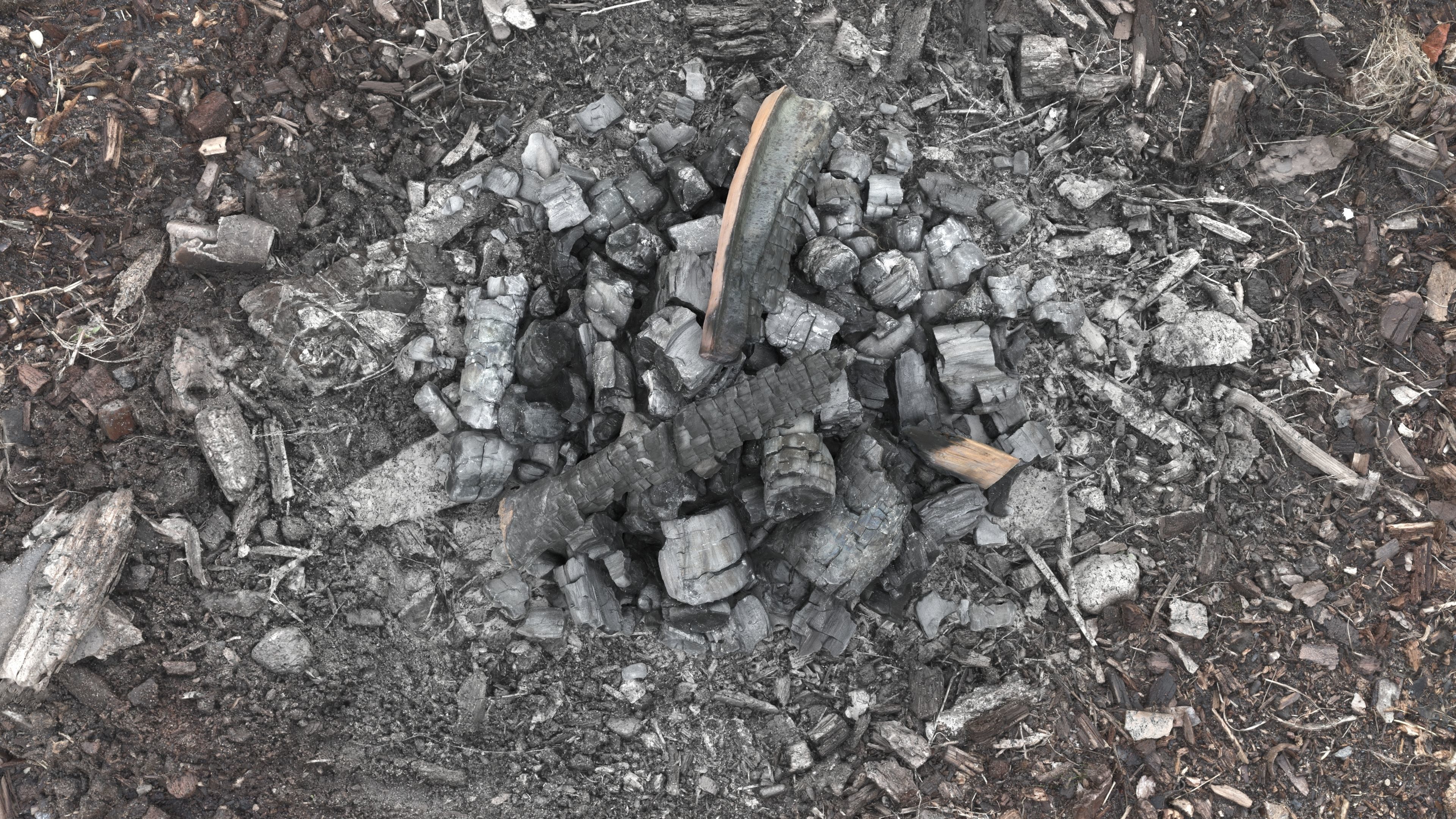 Burned Logs and Ashes Low-poly 3D model_27