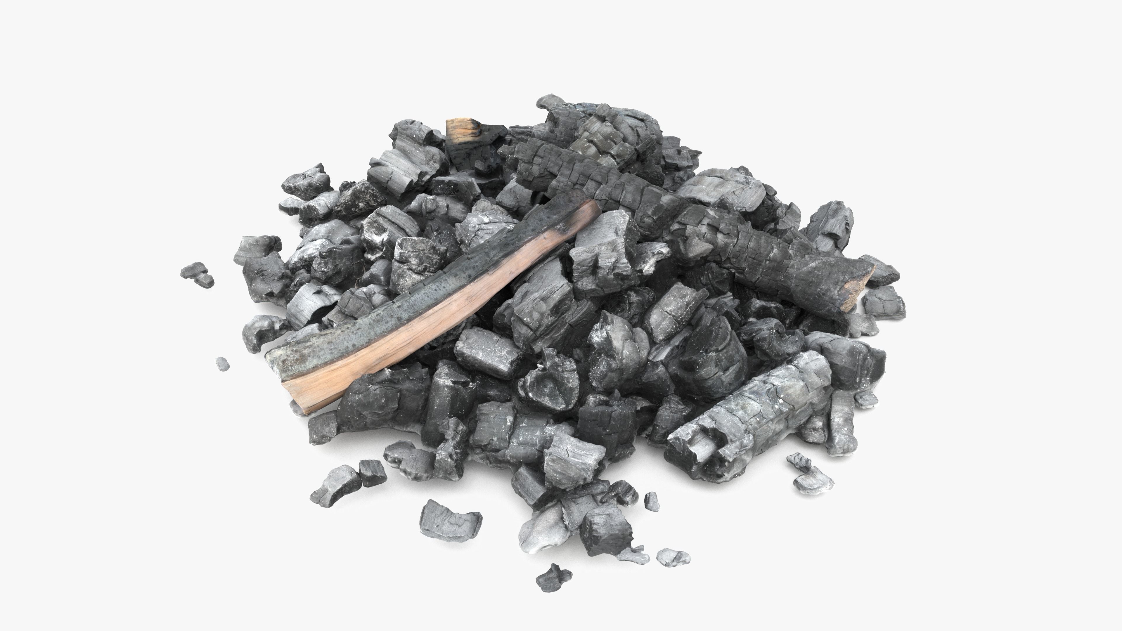 Burned Logs and Ashes Low-poly 3D model_17