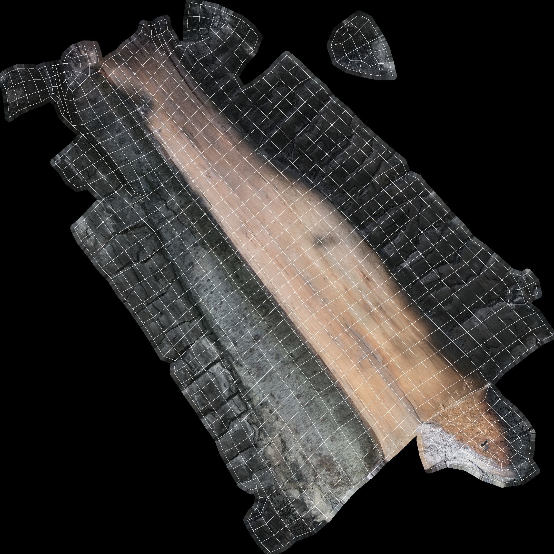 Burned Logs and Ashes Low-poly 3D model_45