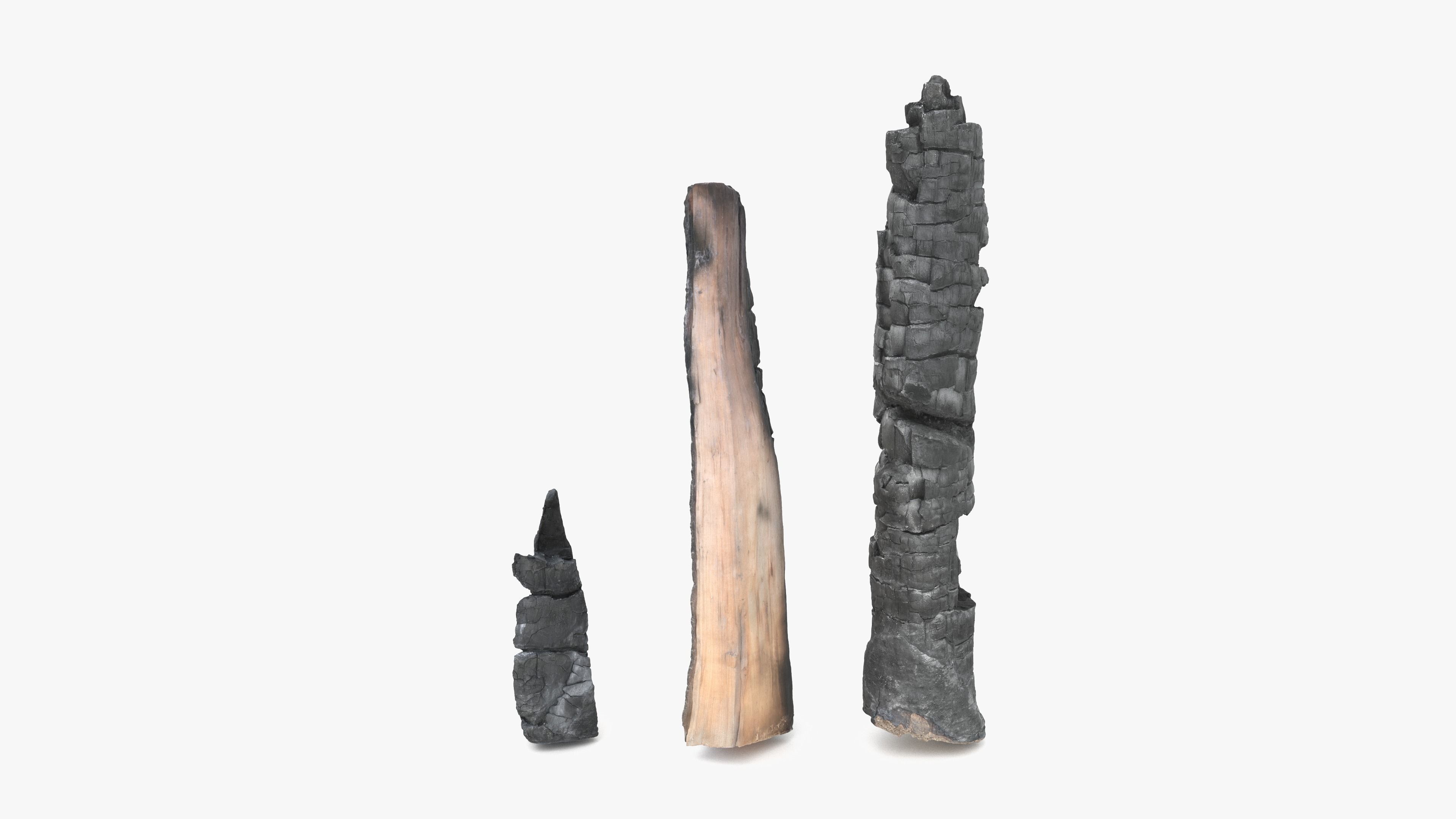 Burned Logs and Ashes Low-poly 3D model_24