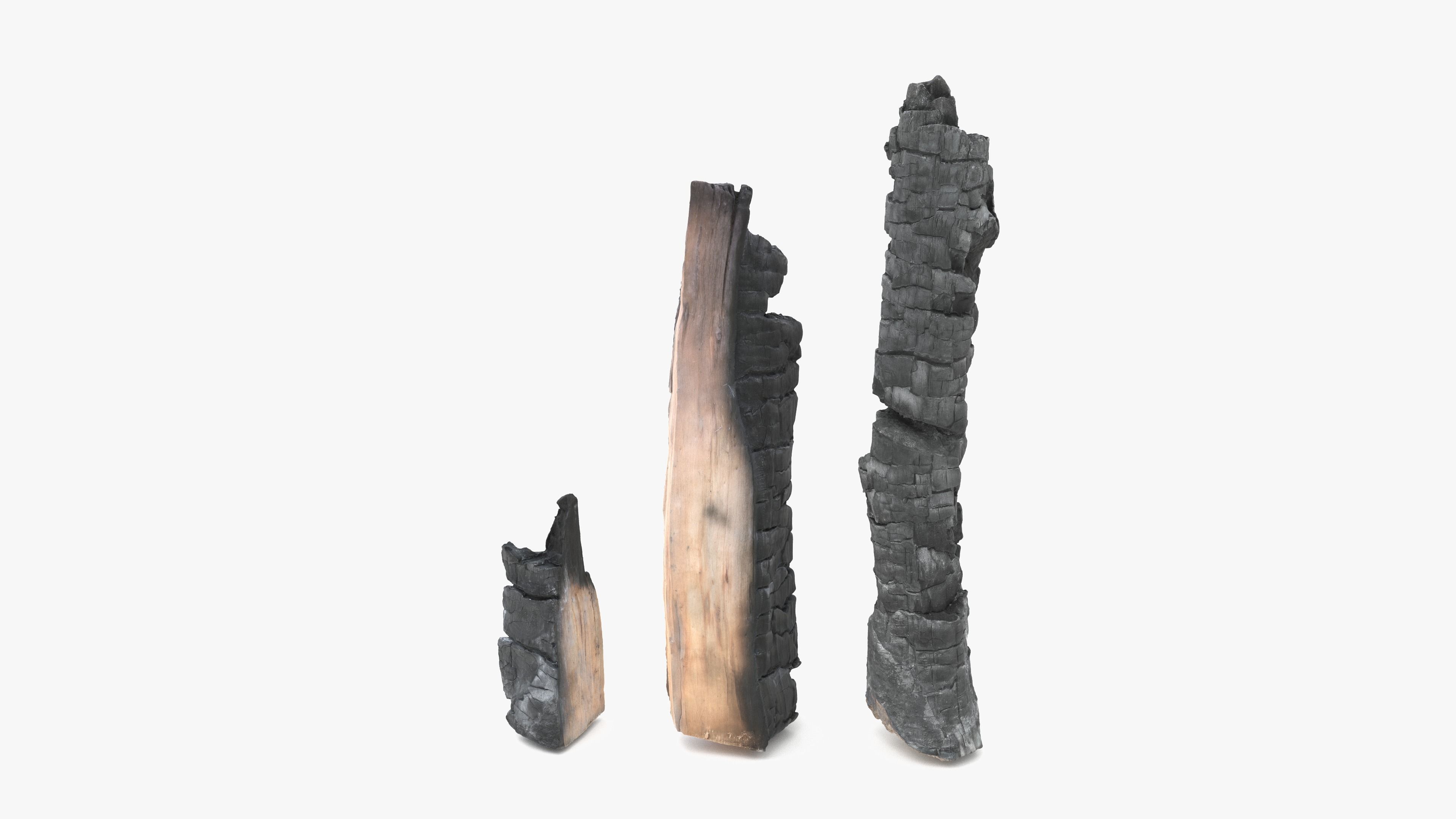 Burned Logs and Ashes Low-poly 3D model_23