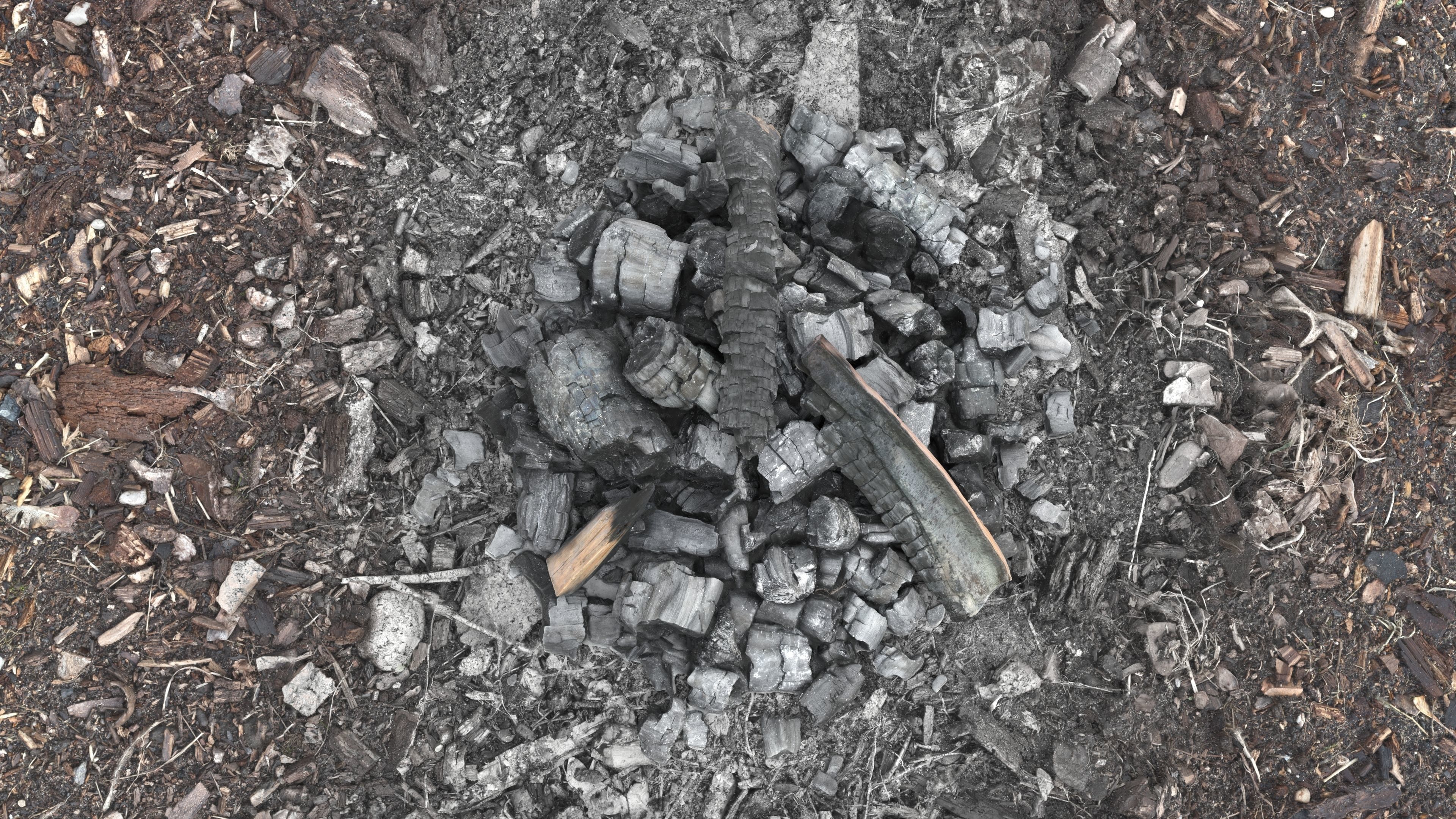 Burned Logs and Ashes Low-poly 3D model_25